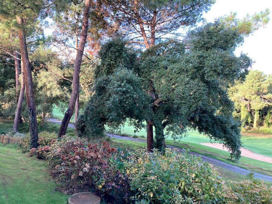 מולייטס-אה-מא Vue Golf Dans Residence Nature "Sympalappart" מראה חיצוני תמונה